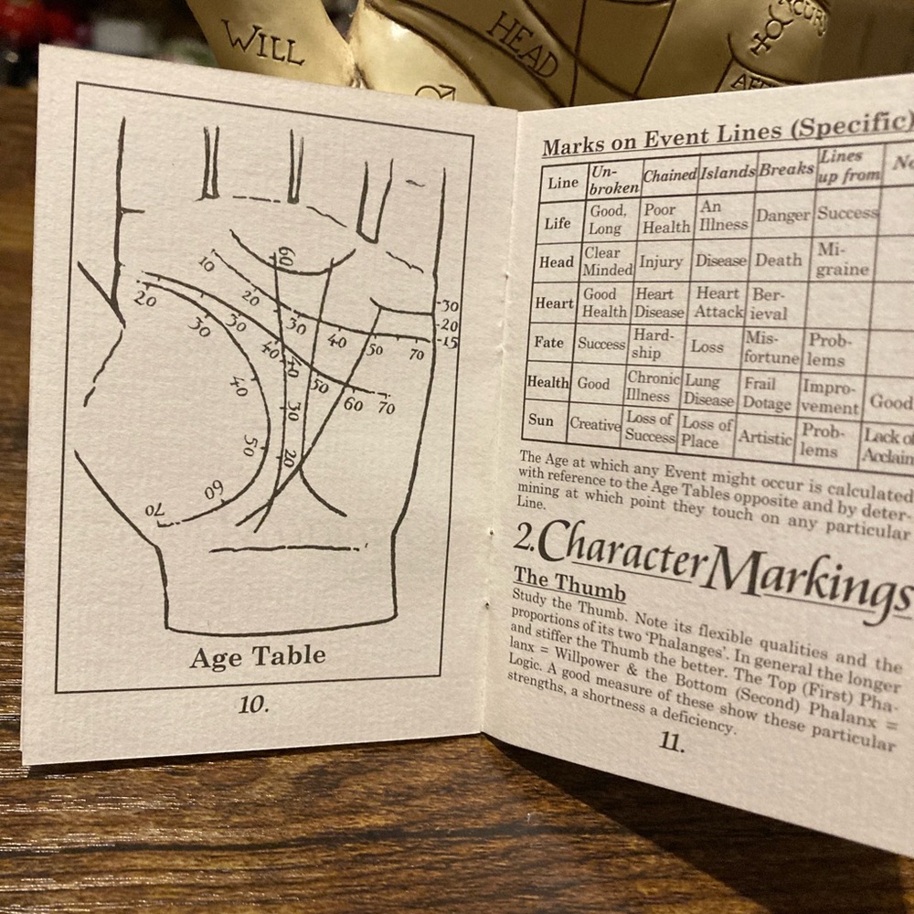 Vintage ceramic Palmistry hand stature with instruction booklet - Picture 9 of 10